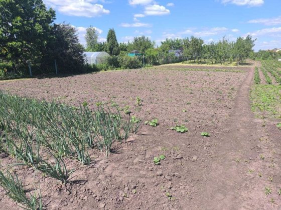 Земельна ділянка 12 соток с. Руська Поляна, вул. Лісова (Щорса) Руська Поляна