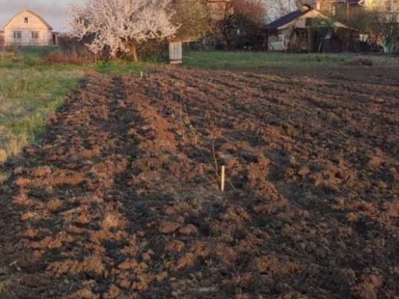 Продам ділянку 15 соток Руська Поляна