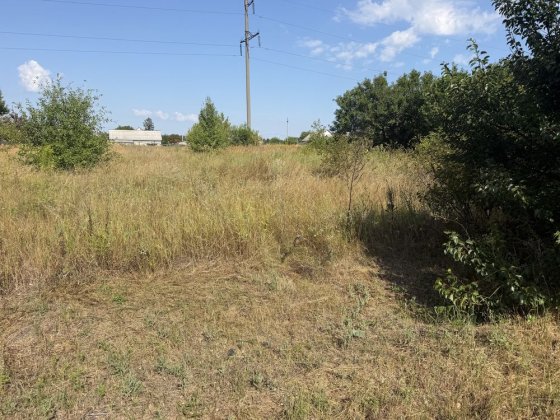 Продаж земельної ділянки в Руській Поляні Руська Поляна