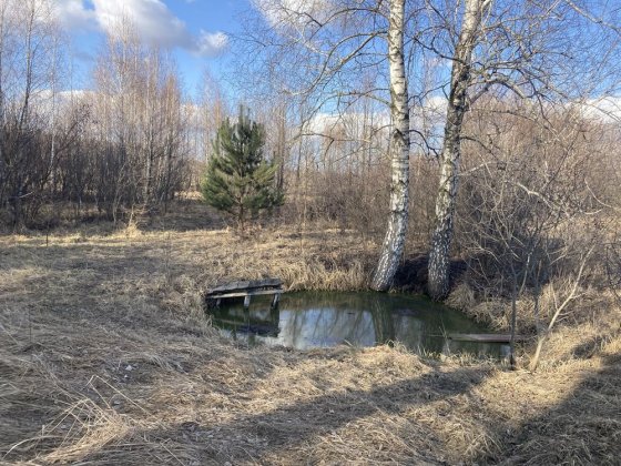Продаж земельної ділянки в с.Свидівок Свидивок