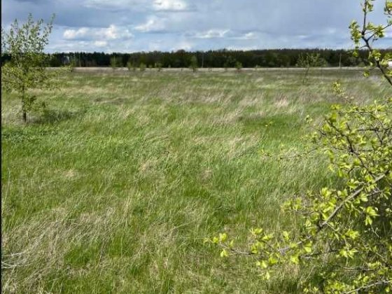 Пропоную до продажу земельну ділянку с.Сокирно Свидивок