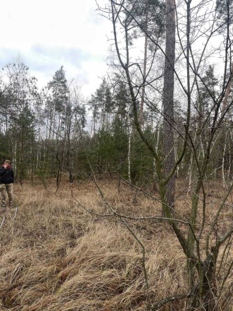 Земельна ділянка 25 соток під забудову в с. Свидівок від власника - фото 1