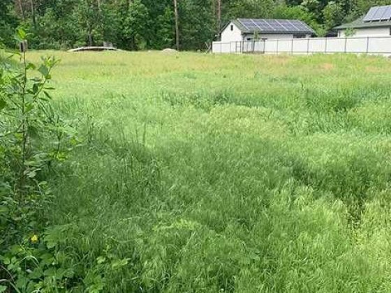 Продаж земельної ділянки село Свидівок