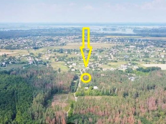 Ділянка в Свидівку 25 с. в лісі по Партизанській перед базою Скайвуд
