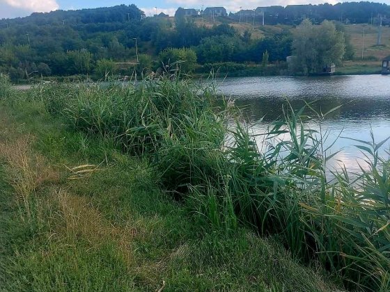 Пропонуємо до продажу гарну земельну  ділянку Звенигородка