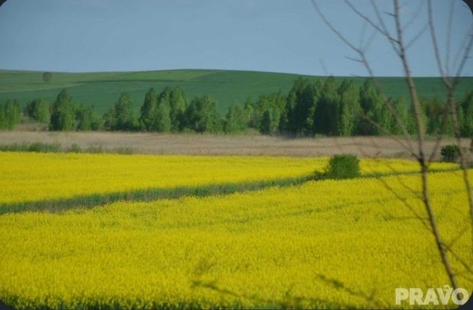 земельна ділянка, поле 20.34 га - фото 1