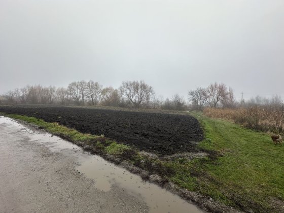 Продаж земельної ділянки по вул. Кавказька Шпола