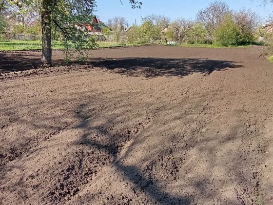 Продам приватизовану присадибну земельну ділянку  25 соток, м. Чигирин.