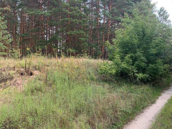 Земельна ділянка 2 га, с. Розсошинці, Чигирин Черкаська область