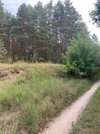 Земельна ділянка 2 га, с. Розсошинці, Чигирин Черкаська область - фото 1