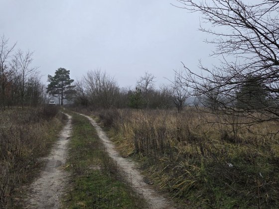 ВЕЛИКА ділянка 2,6 га в Мошни