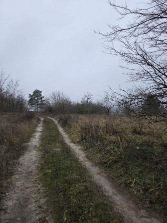 ВЕЛИКА ділянка 2,6 га в Мошни - фото 1