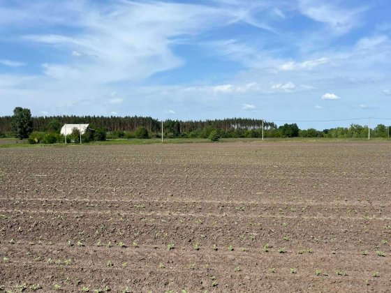 Продається земельна ділянка в с. Дубіївка. Дубіївка