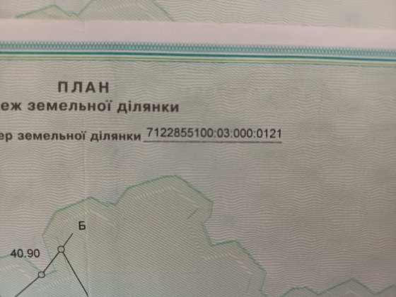 Продам паї загальна площа 9 га.