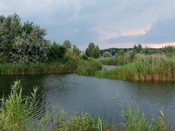 Живописна ділянка в с. Коробівка Коробовка