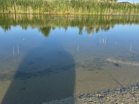 Земельна ділянка з власним виходом до води у кооперативі «Славутич» Коробовка