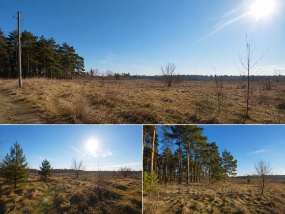 Продаж двох земельних ділянок одним лотом, с.Коробівка Коробовка