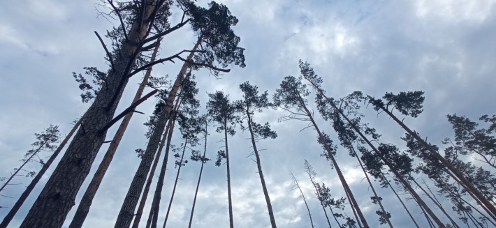 Продам земельну ділянку у с. Кедина Гора - фото 1