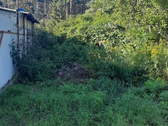 .Продаж земельної ділянки під будівництво у с. Кедина Гора.