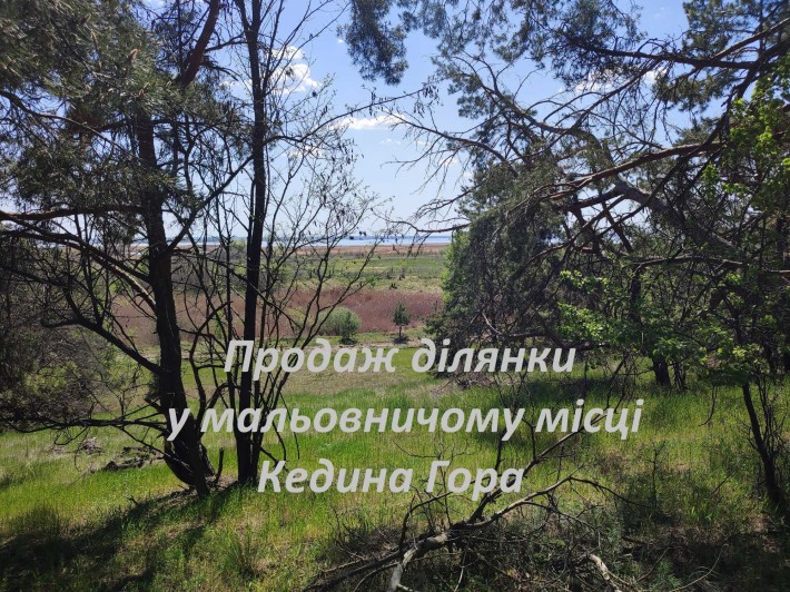 Земельна ділянка - фото 1