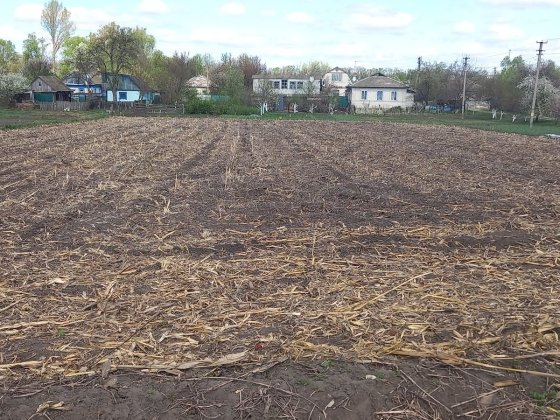 Продам земельну ділянку 0.25 га