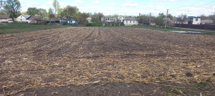 Продам земельну ділянку 0.25 га - фото 1