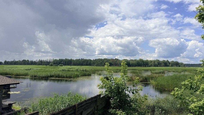 Ділянка 12,5 соток під забудову, 100 м до Дніпра, сосновий ліс - фото 1