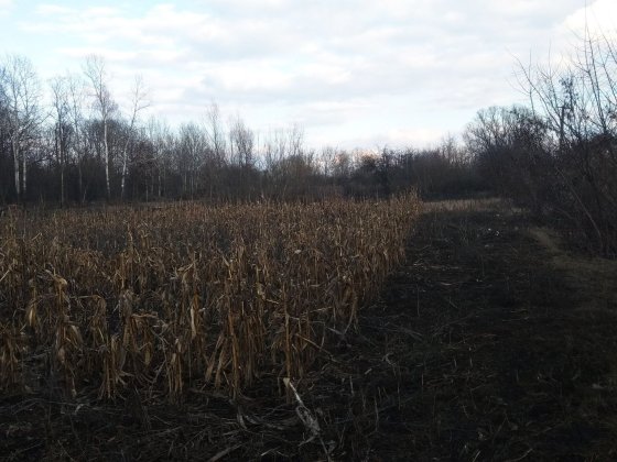 Земля под застройку Бахмач