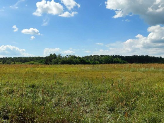 ОСГ з комунікаціями та правом власності на будівлі