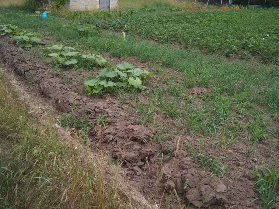 Земельна ділянка під забудову Старый Белоус