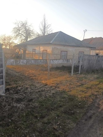 Продам земельну ділянку з аварійною хатиною.Нова Басань, Л.Українки,58 - фото 1