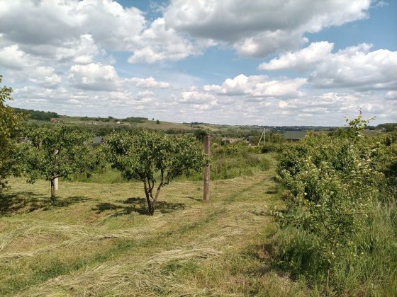 Продам земельну ділянку Годилів