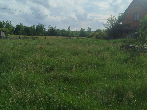 Земельна ділянка в м. Сторожинець, Майдан Сторожинец