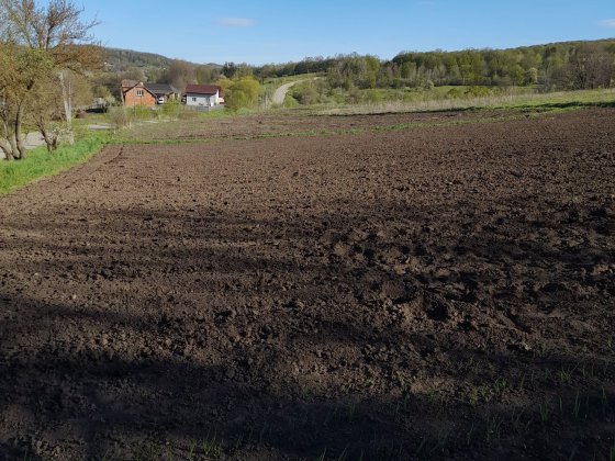 Земельний участок с. Тисівці Годилів