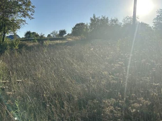 Продаю землю  село Великий Кучурів