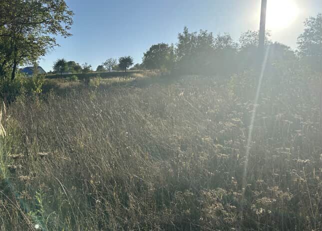 Продаю землю  село Великий Кучурів - фото 1