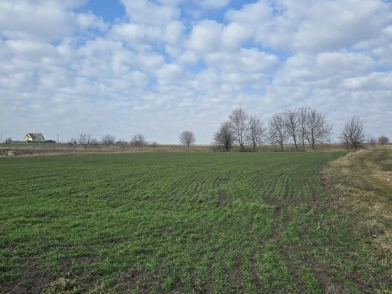 Продаж ділянки під будівництво в центрі с.Великий Кучурів
