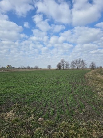 Продаж ділянки під будівництво в центрі с.Великий Кучурів - фото 1