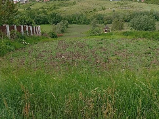Земельна ділянка  Коровія Коровия
