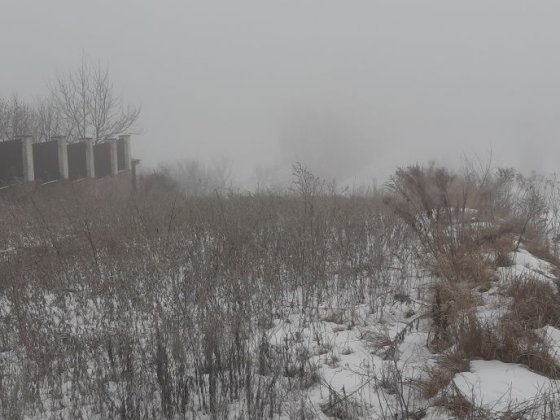 Земельна ділянка Коровия