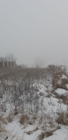 Земельна ділянка - фото 1
