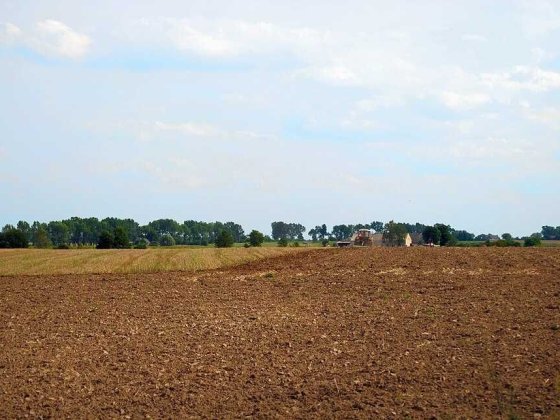Земельна ділянка(пай) Мамаївці