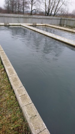 Продаж земельної ділянки в м.Вашківці - фото 1
