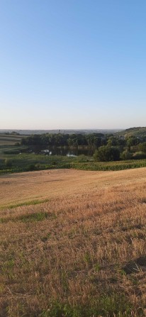 Продаж землі в с. Валя-Кузмина - фото 1
