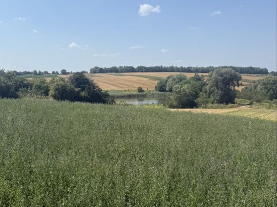 Земельна ділянка с. Валя Кузьмина 21 соток Валя Кузьмина