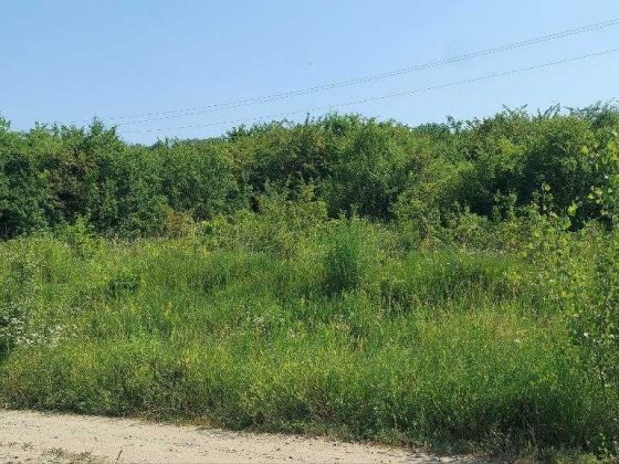 Земельна ділянка с. Валя Кузьміна Валя Кузьмина