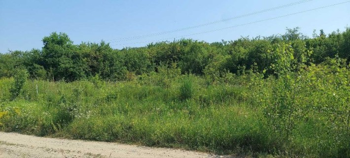 Земельна ділянка с. Валя Кузьміна - фото 1