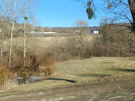 Продаж земельної ділянки 33 сотки, с. Валя Кузьмина Валя Кузьмина