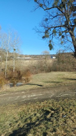 Продаж земельної ділянки 33 сотки, с. Валя Кузьмина - фото 1