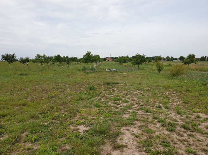 Продам земельну ділянку для індивідуального будівництва - фото 1